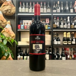 ghiaie della furba capezzana fronte