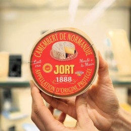 camembertjort_in mano