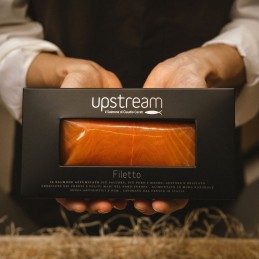 Salmone Upstream - Filetto