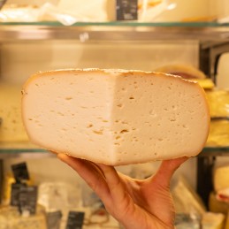 forma formaggio pirenei caprA BETHMALE in mano