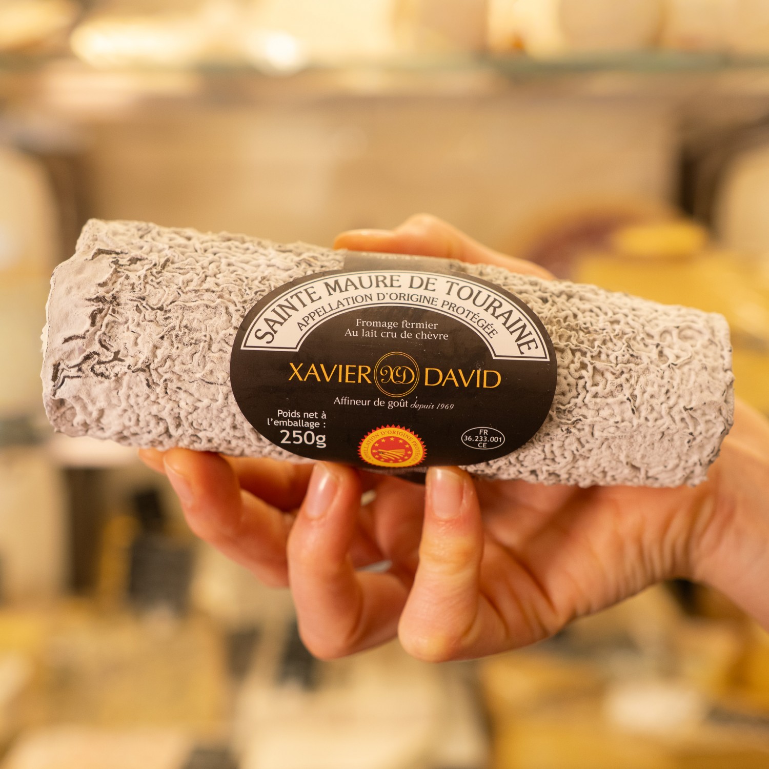 Formaggio Sainte-Maure de Touraine in mano