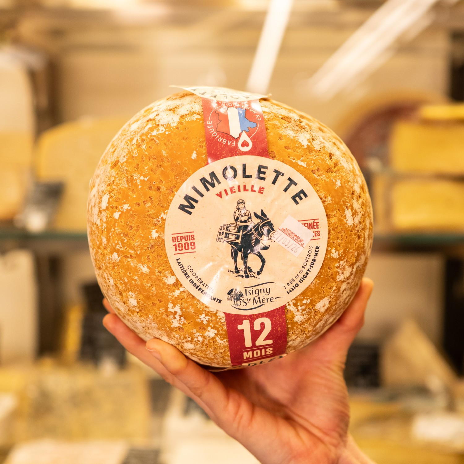 forma intera di formaggio mimolette in mano