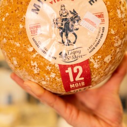 dettaglio forma di formaggio mimolette in mano