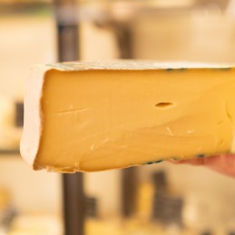 fetta di fontina valdostana