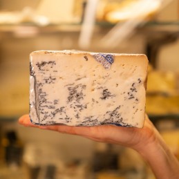 fetta di gorgonzola piccante in mano