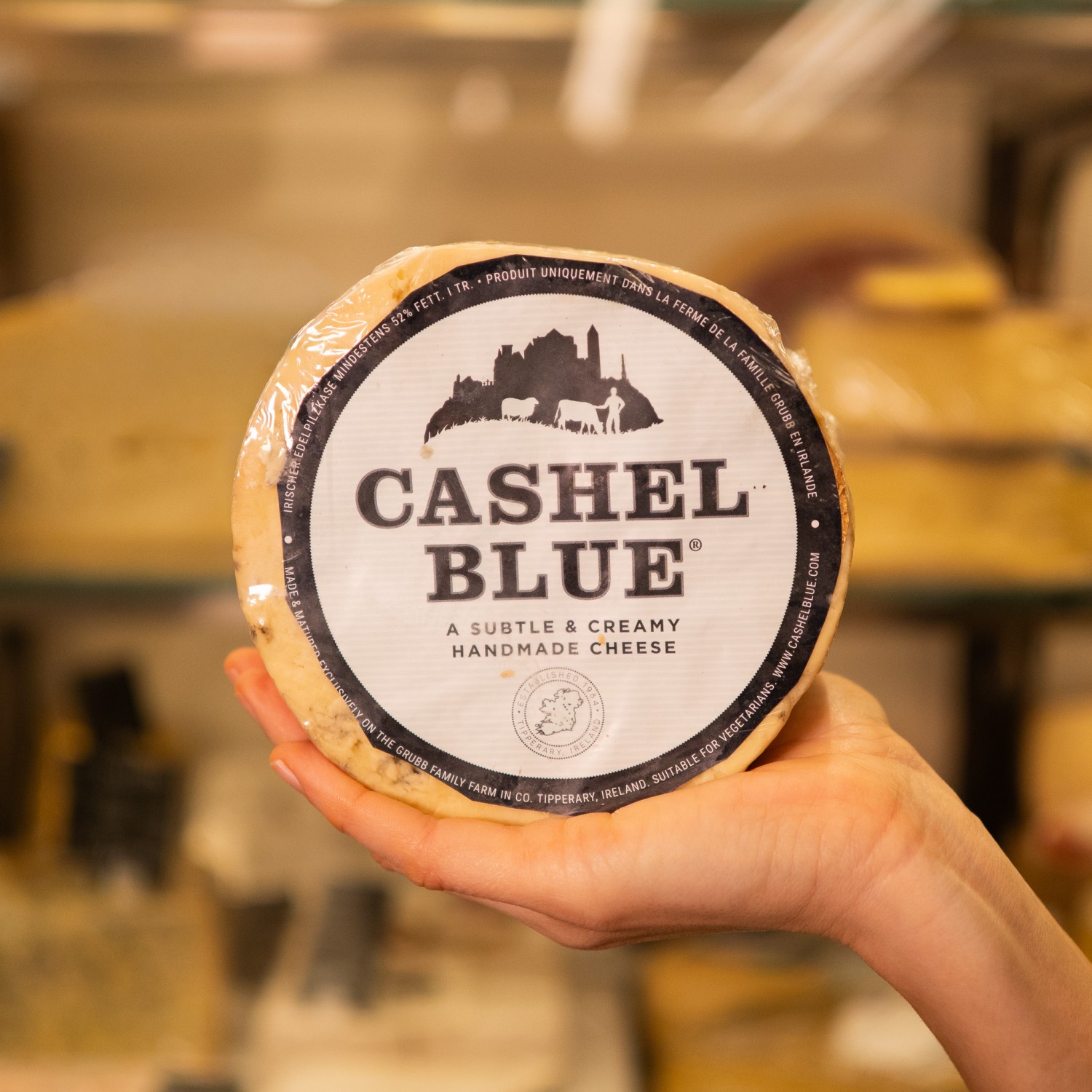 forma di formaggio cashel blue in mano
