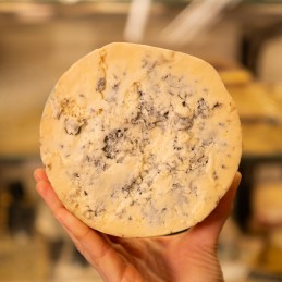 sezione di forma di formaggio cashel blue in mano