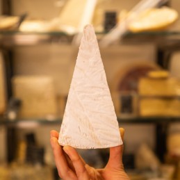 fetta di brie dolce in mano