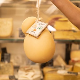 Caciocavallo Silano Dop in mano