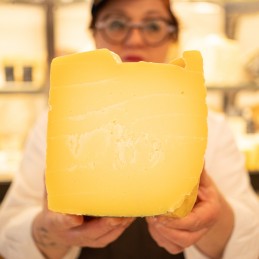 formaggio ragusano sezione in mano