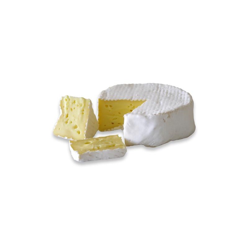 Forma di formaggio Camembert