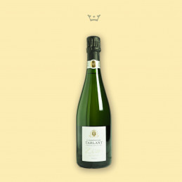 Bottiglia di Champagne Tarlant Zero Brut Nature vista frontale