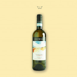 Bottiglia di vino Catarratto DOC Centopassi Sicilia vista frontale