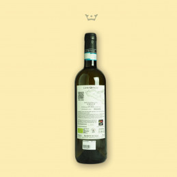 Bottiglia di vino Grillo DOC Centopassi. Etichetta vino retro
