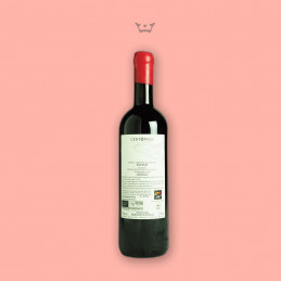 Bottiglia di vino Pietre a Purtedda a Ginestra Centopassi retro